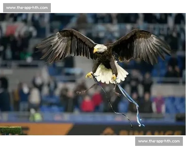 拉齐奥正式驱逐前训鹰师:露骨视频丑闻后终场法律拉锯战 拉齐奥正式驱逐前训鹰师:露骨视频丑闻后终场法律拉锯战