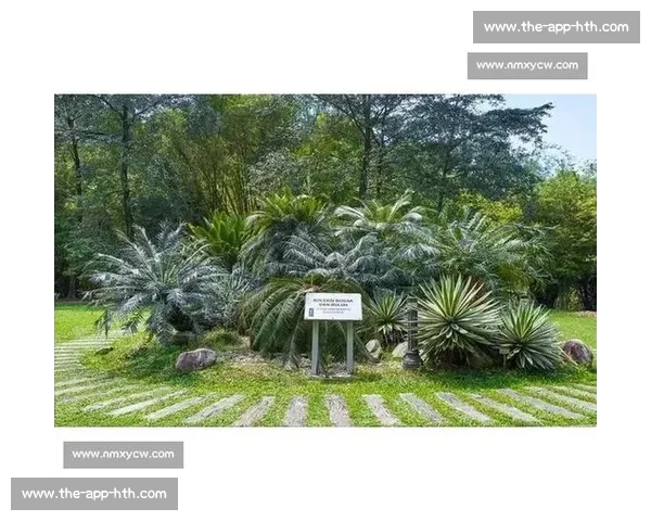 金杯赛非洲独苗:南非 2005 年的跨洋之旅 金杯赛非洲独苗:南非 2005 年的跨洋之旅